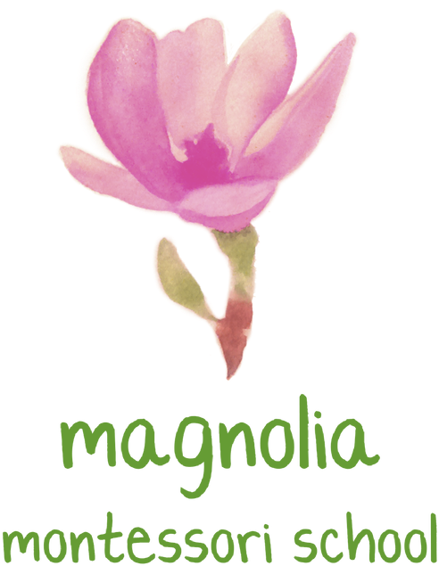 Magnolia Png (797x800), Png Download