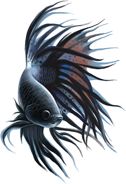 Betta On Behance - Cnidaria (600x754), Png Download