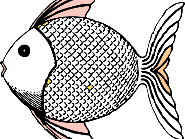 Tropical Fish Clipart Betta Fish - Fish Clipart (640x480), Png Download