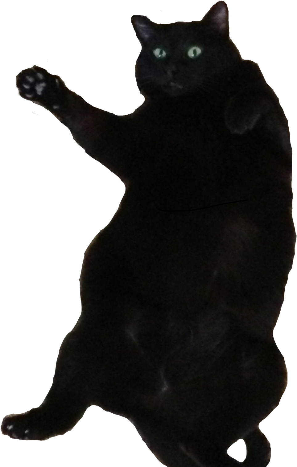 1024 X 1526 3 - Black Cat (1024x1526), Png Download