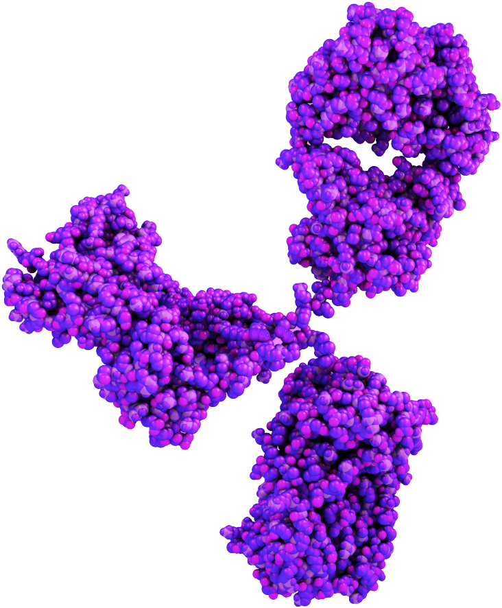 Therapeutic Antibody Discovery - Antibody (1024x1024), Png Download