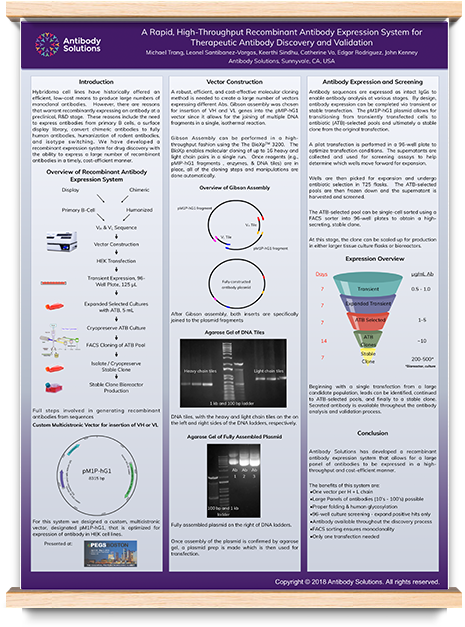Scientific Posters From Antibody Solutions - Banner (720x720), Png Download