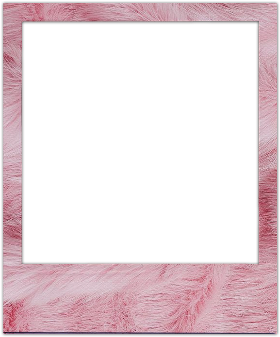 New - 29/08/2018 - Polaroid Png (800x800), Png Download