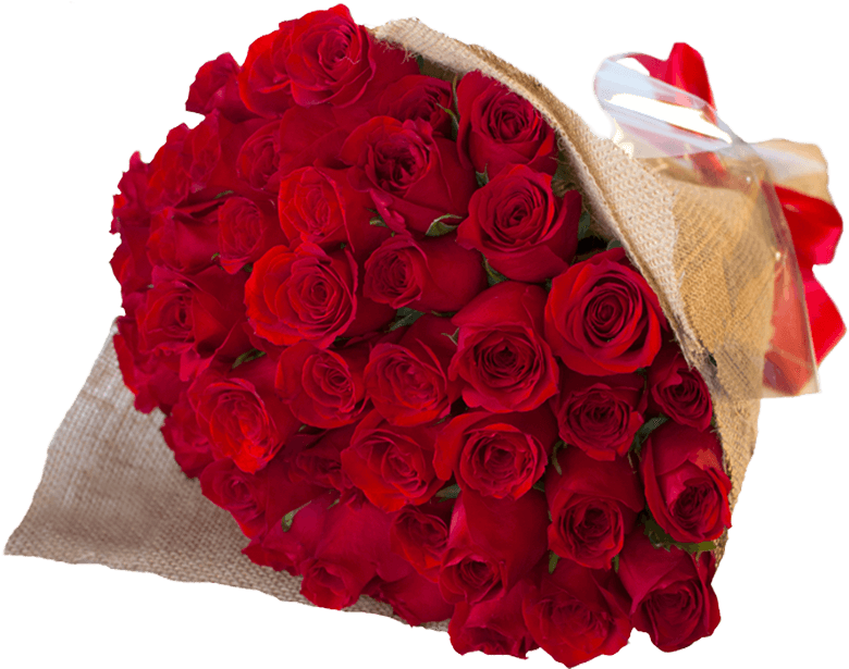 Categorias - Románticosrosas - Floristeria Tijuana (800x800), Png Download
