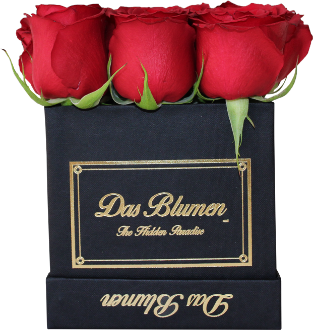 Estuche Cúbico Mini Con Rosas Naturales - Garden Roses (800x800), Png Download