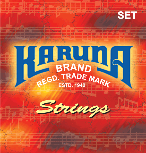 Acoustic 12 Strings Guitar - Flyer (700x700), Png Download