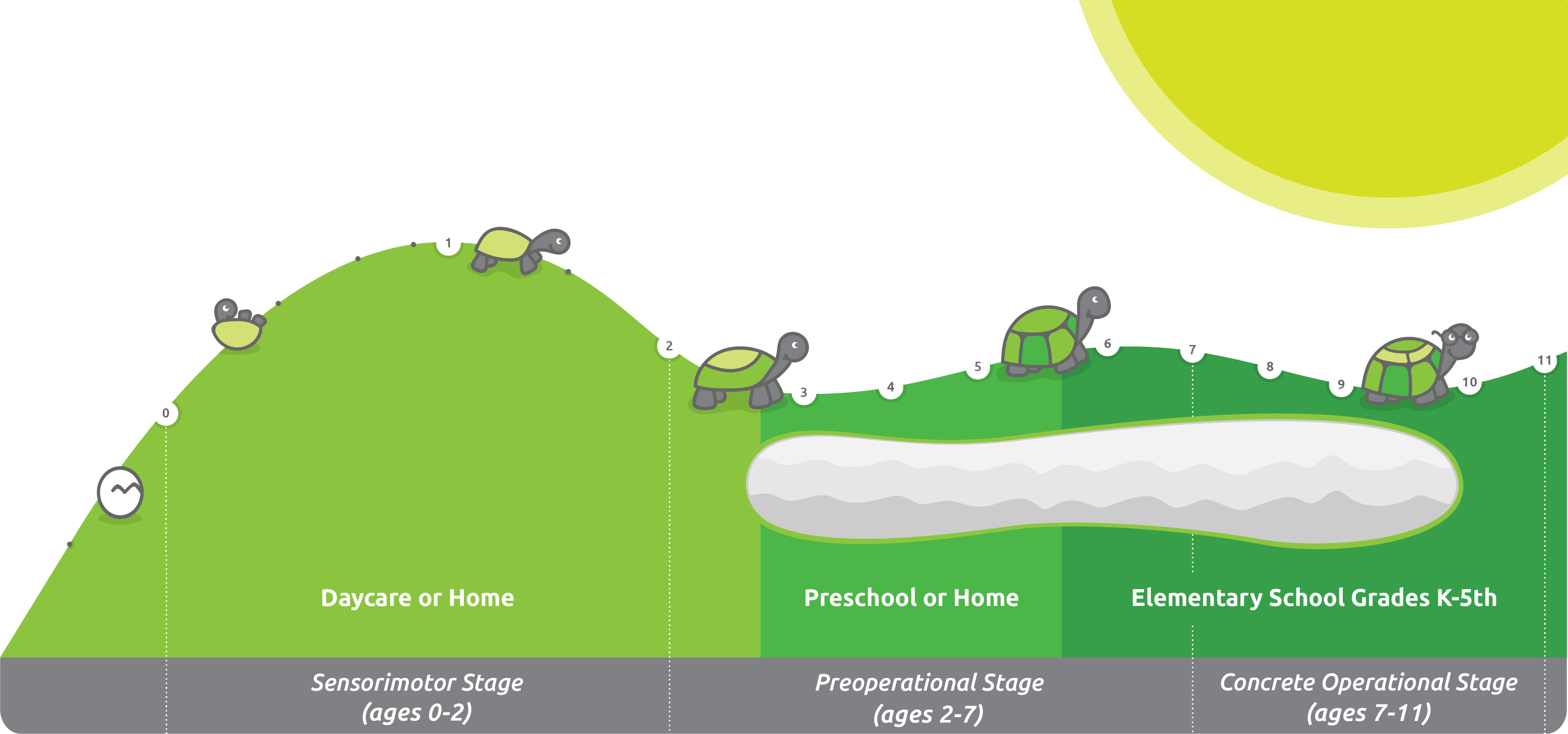 6 Month Gestation - Illustration (3939x1845), Png Download