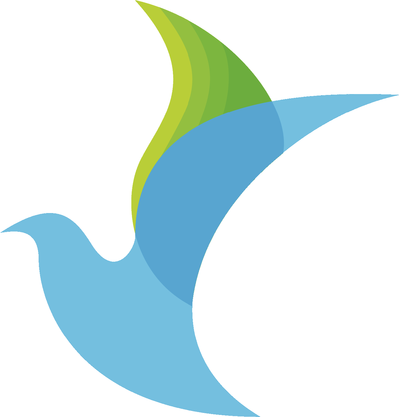 Esta Entrada Fue Publicada En - Paloma Derechos Humanos (1474x1474), Png Download