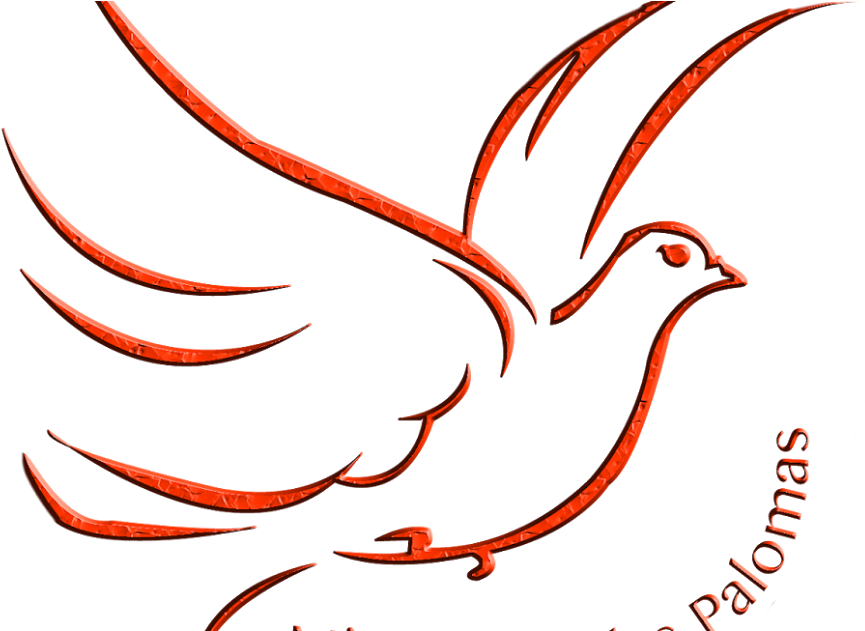 Newsletter Trimestral - 1-2014 - Phasianidae (1200x630), Png Download