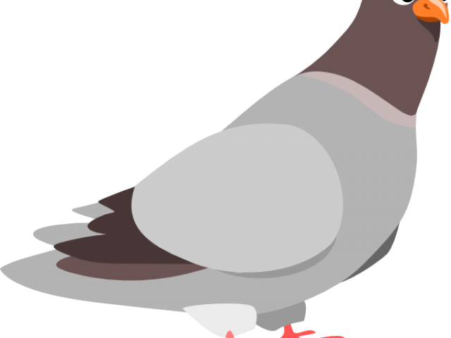 Pigeon Clipart Paloma - Sweeping Statement (640x480), Png Download