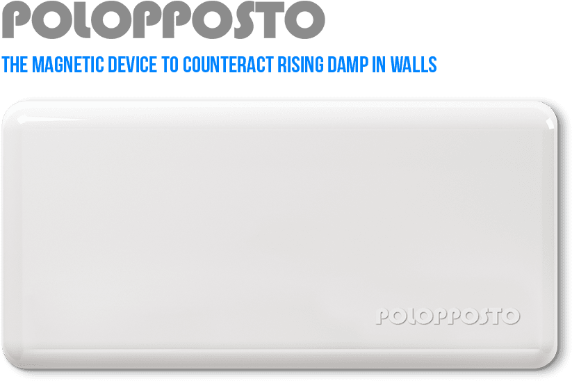 Polopposto 1 Paypal En - Display Device (1000x600), Png Download