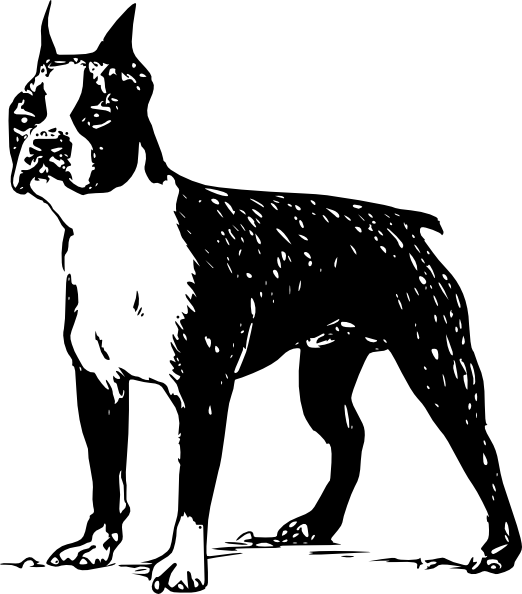 Boston Terrier Silhouette Vector (522x594), Png Download