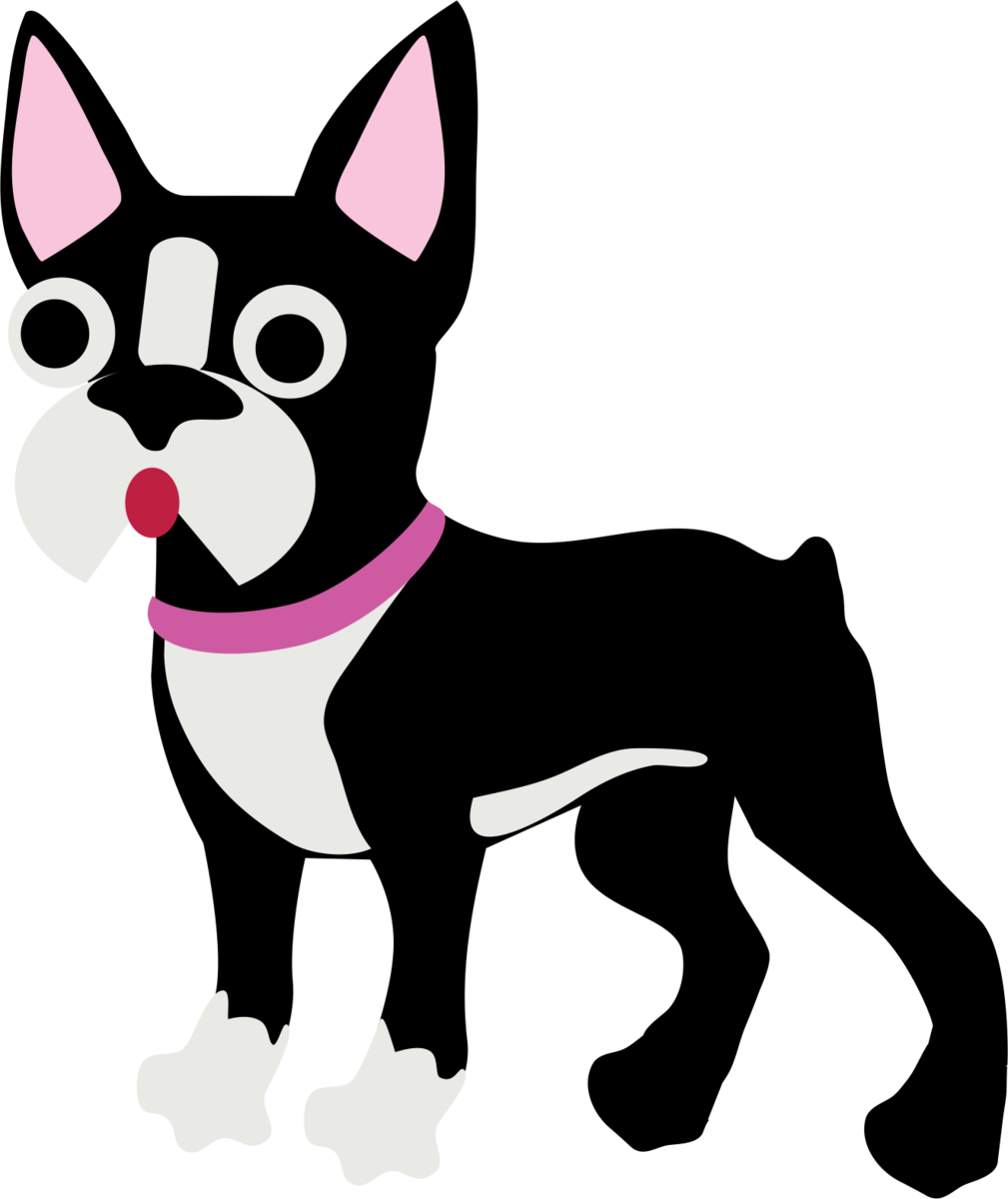 Chihuahua (1009x1200), Png Download