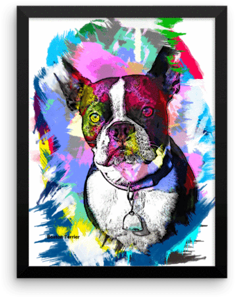 Boston Terrier Artistic Photo Art Framed Poster Wall - Art (600x600), Png Download