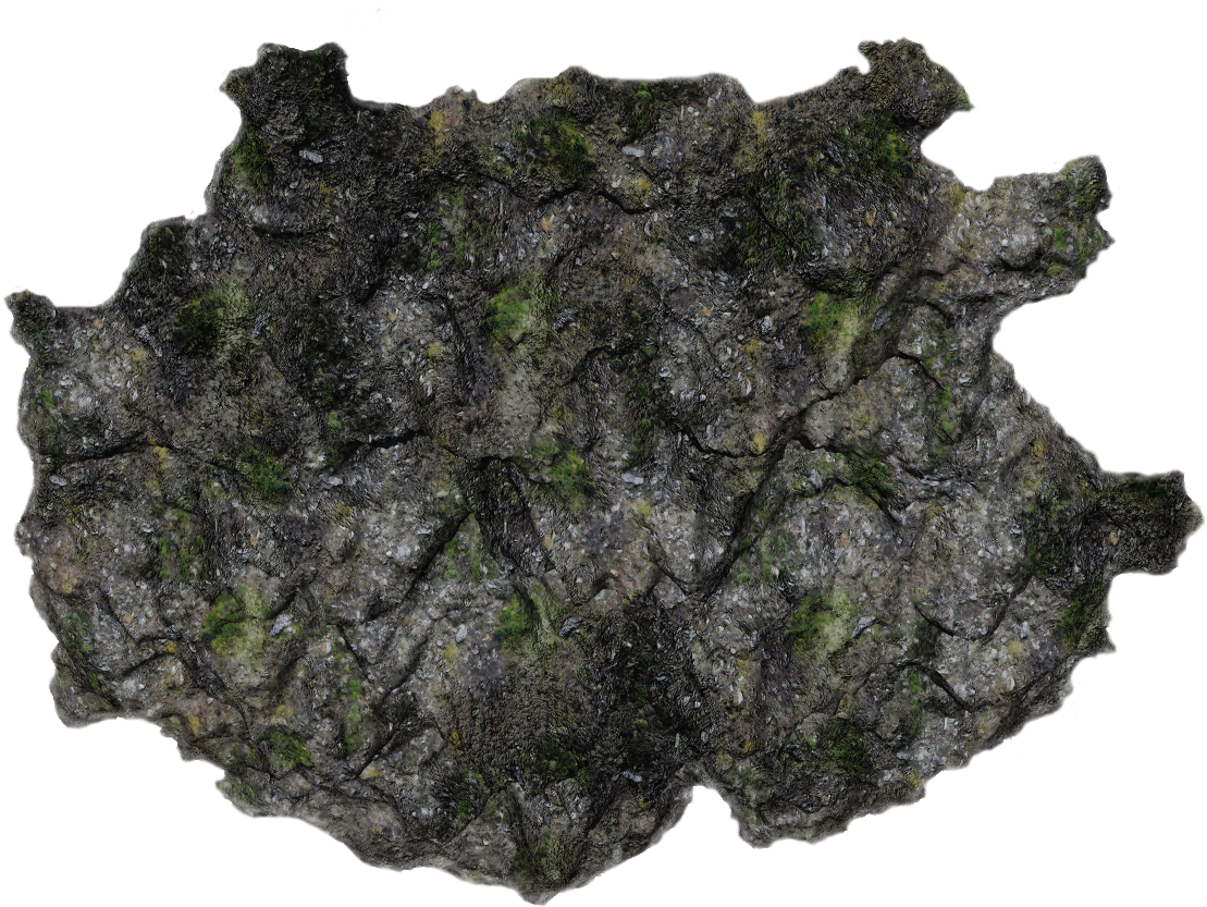 05 854k Moss Sc1 06 Feb 2009 - Igneous Rock (1180x884), Png Download