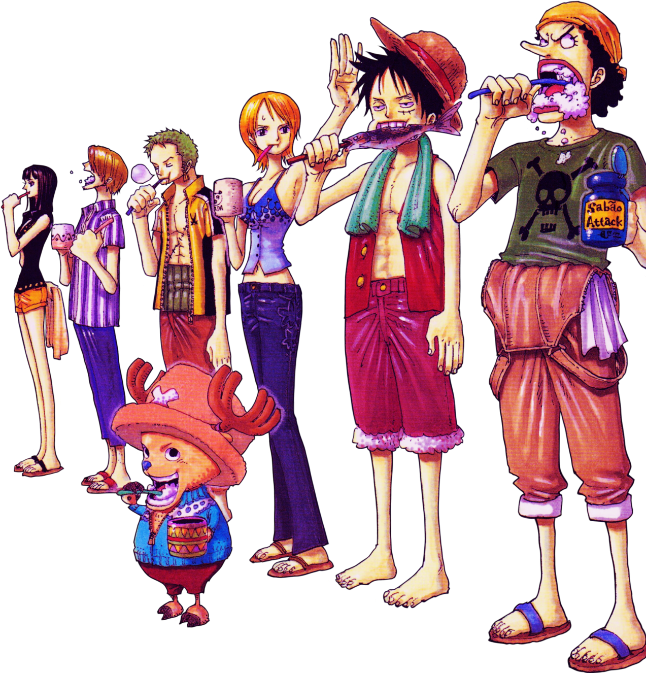 Luffy zoro nami usopp sanji chopper robin