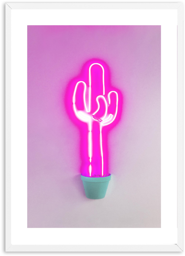 Neon Cactus - Picture Frame (800x997), Png Download