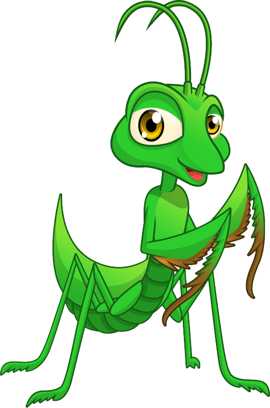 Grasshopper Clipart Png Png (530x799), Png Download