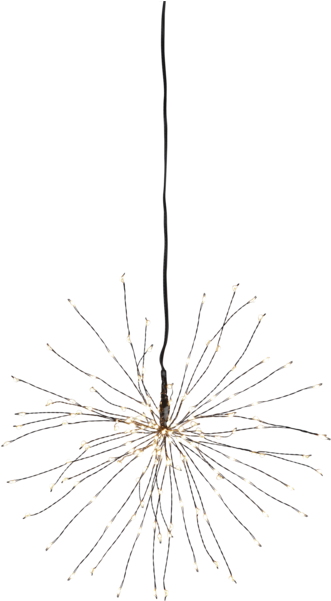 Pond Pine (600x600), Png Download