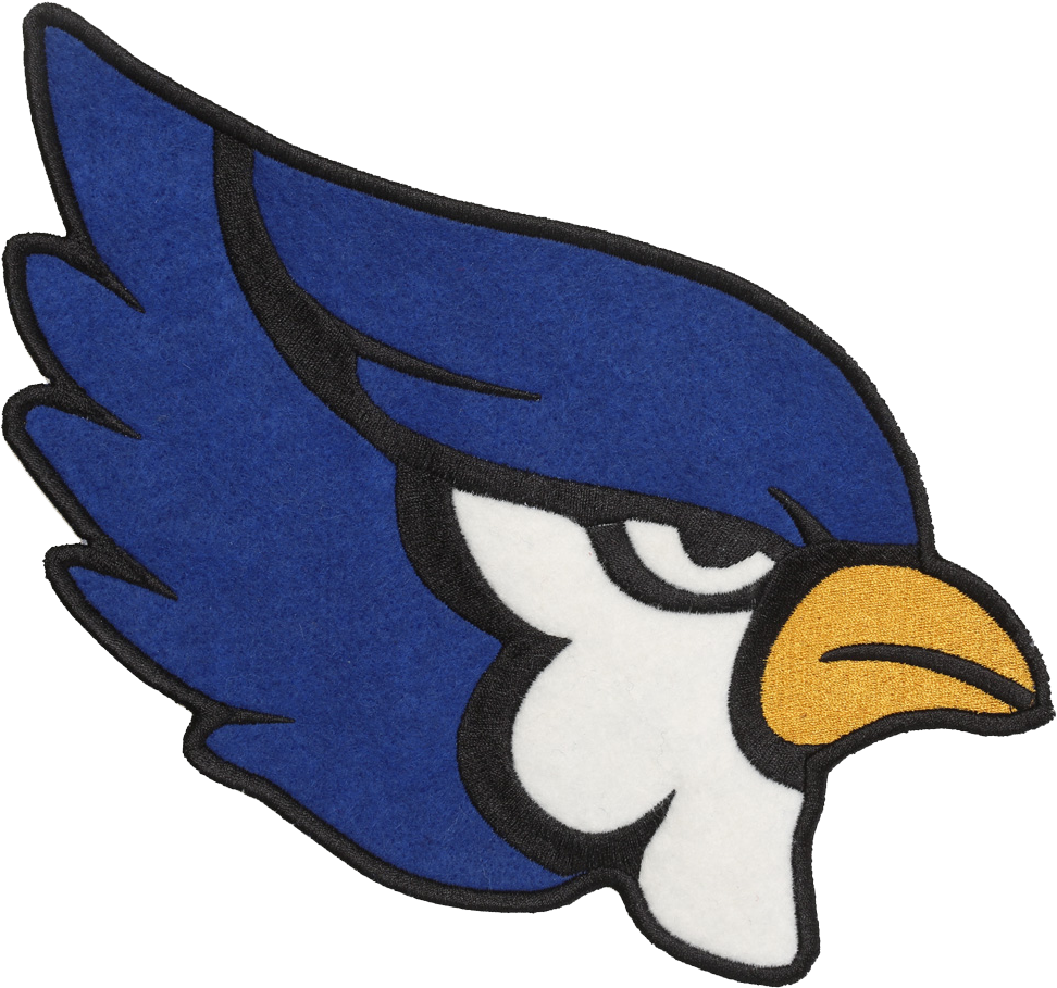 Pm444 Blue Jay Patch Patch - Cartoon (1001x1001), Png Download