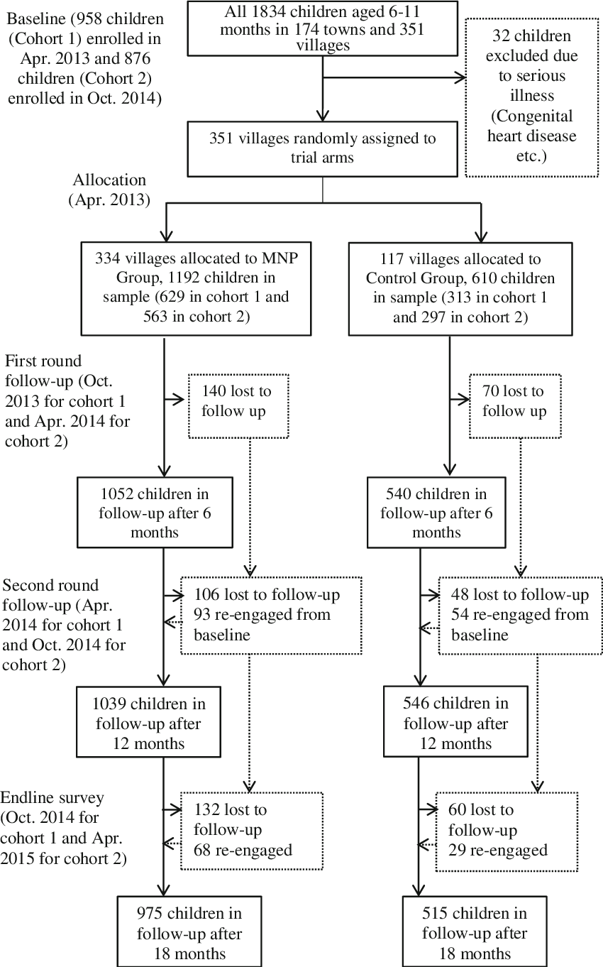 Mnp = Micronutrient Powder - Diagram (850x1362), Png Download