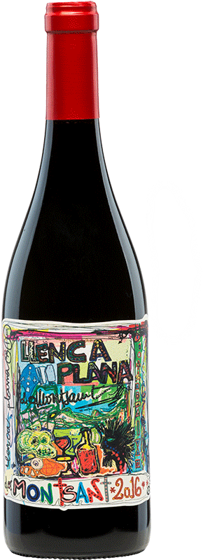 Terra De Falanis Llenca Plana Montsant - Glass Bottle (850x850), Png Download