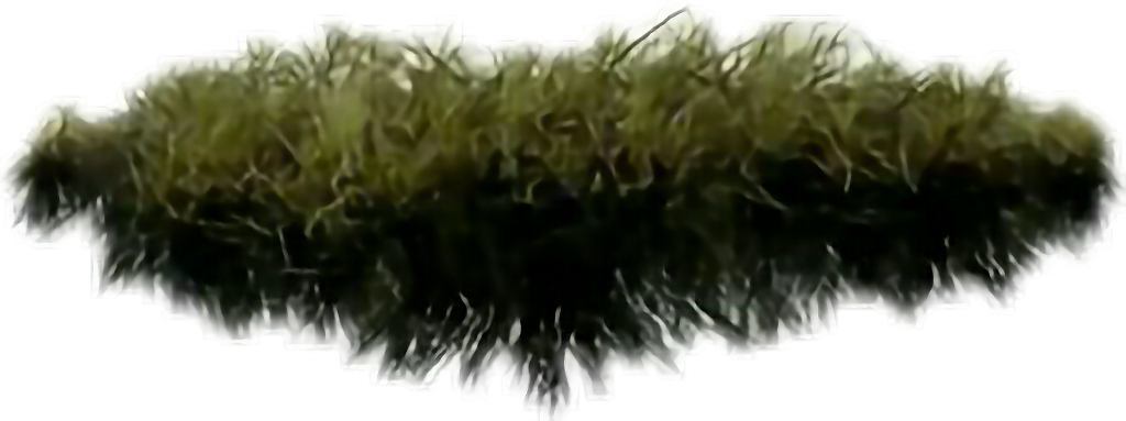 Grama Sticker - Fodder (1024x383), Png Download