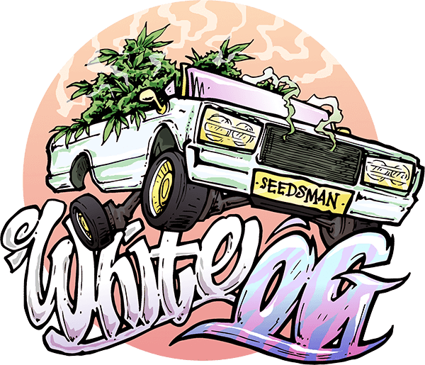 Illustration (600x515), Png Download