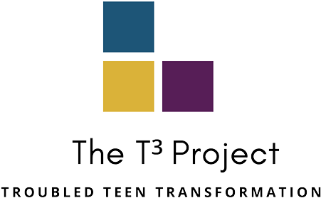 The Troubled Teen Transformation Project - Flag (960x678), Png Download