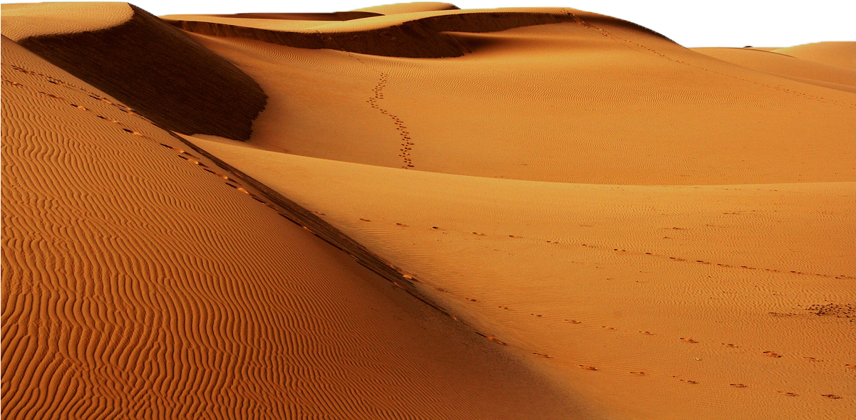 Sahara Desert No Background (1200x800), Png Download