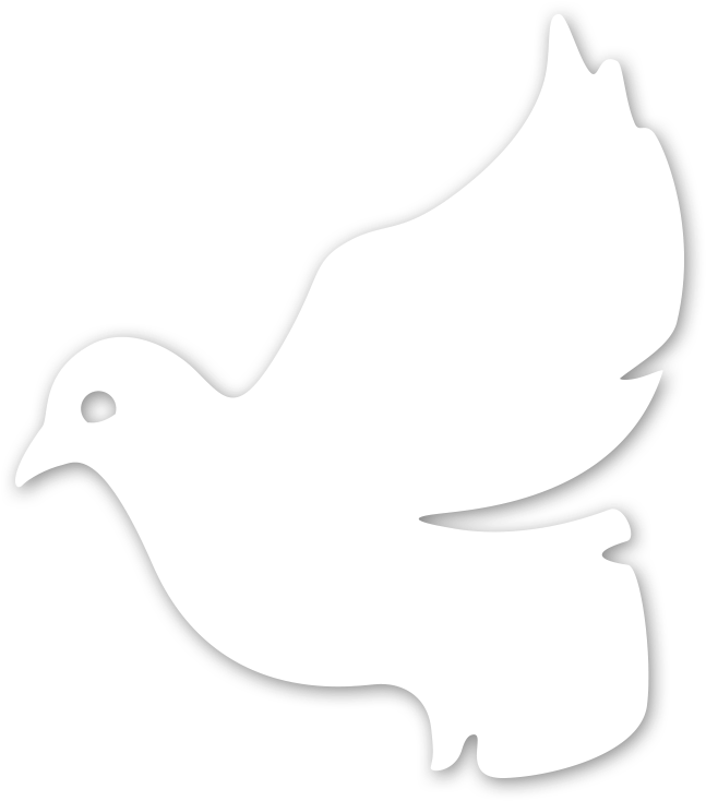 Pigeons And Doves (850x850), Png Download
