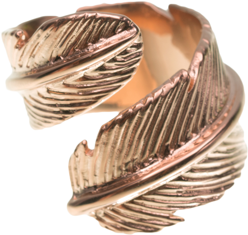 Open Ring Feather - Wicker (800x600), Png Download