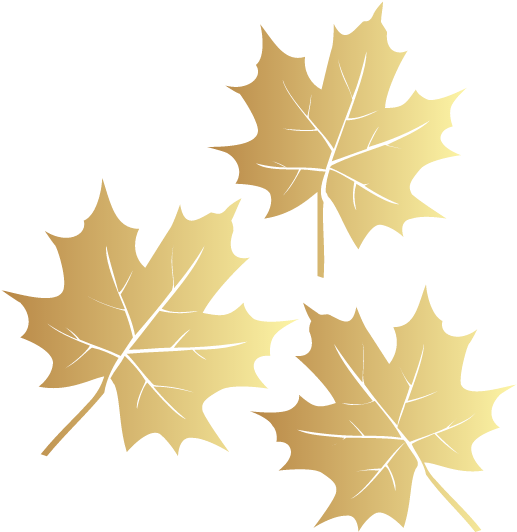 For More Information About Our Services And Upcoming - Maple Leaf (720x666), Png Download