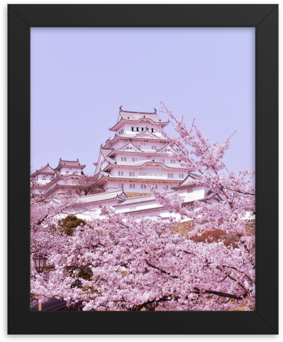 Himeji Castle With Cherry Blossoms - Picture Frame (1000x1000), Png Download