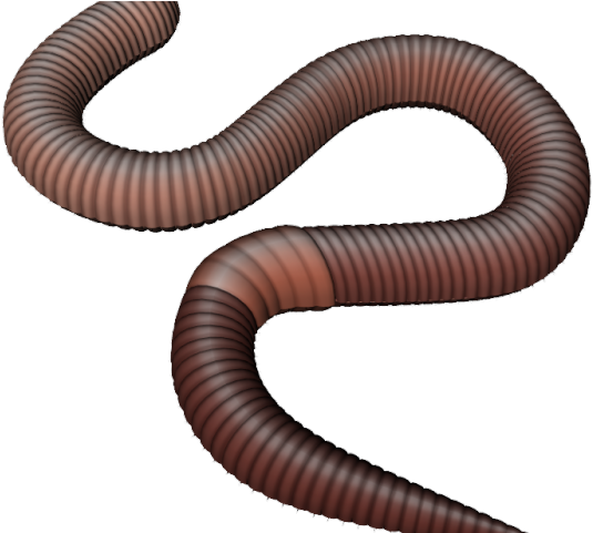 Worms Png Transparent Images - Earth Worms Png (640x480), Png Download