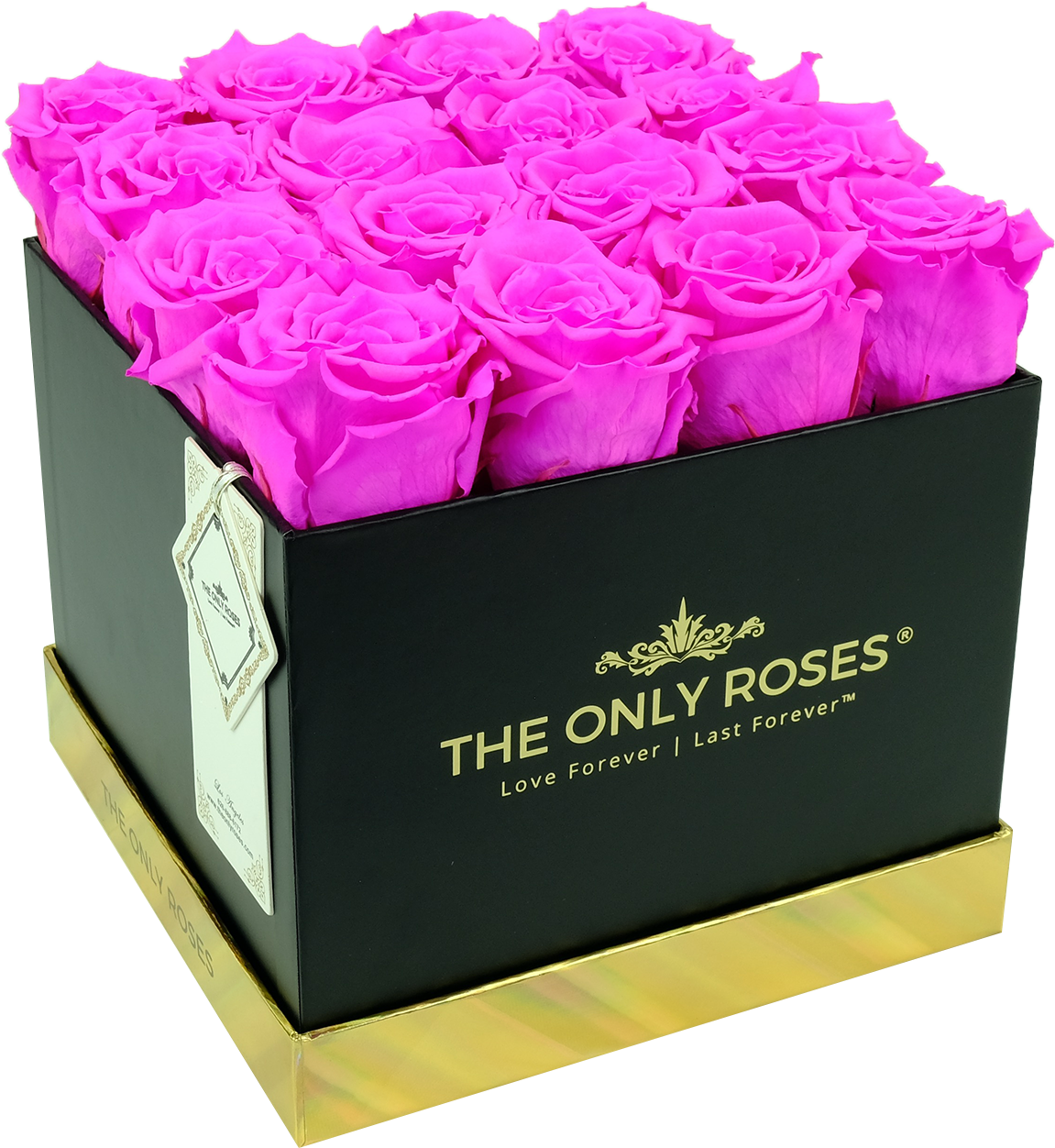 Hot Pink Preserved Roses - Rose (2048x2048), Png Download