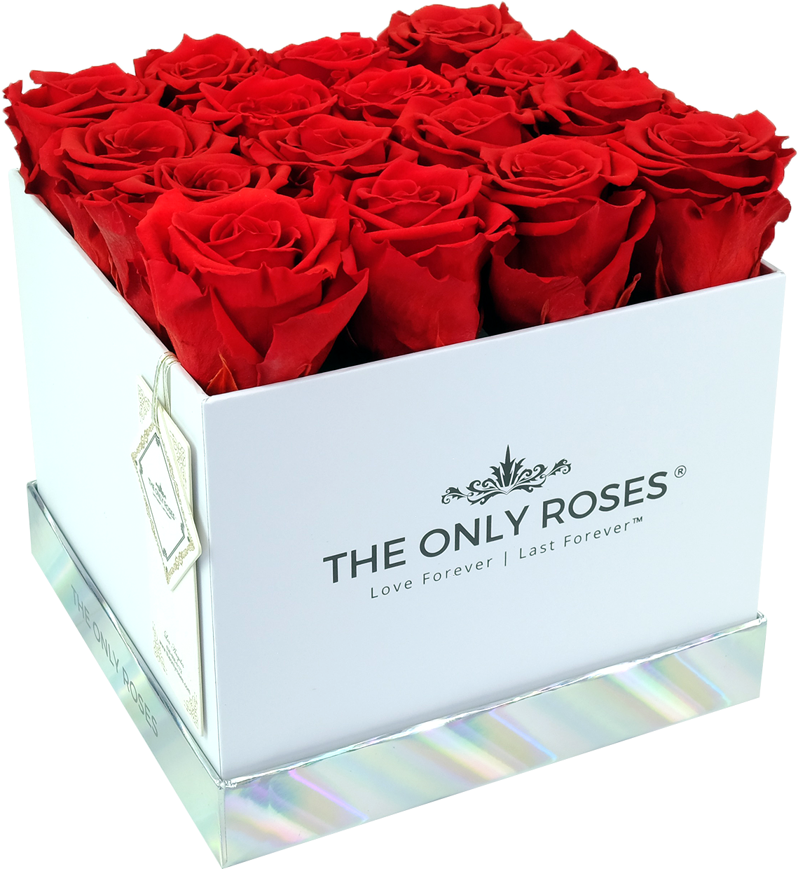 Red Preserved Roses - Garden Roses (2048x2048), Png Download
