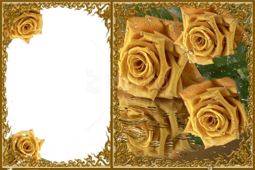 Free Png Best Stock Photos Transparent Yellow Roses - Roses Frame In Png (850x567), Png Download