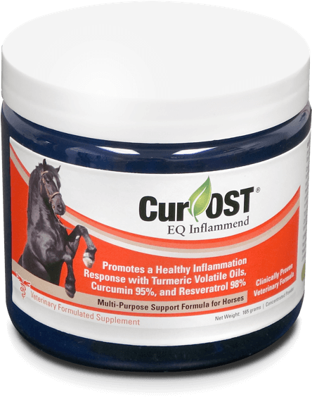 Cur-ost Eq Inflammend - Stallion (600x708), Png Download