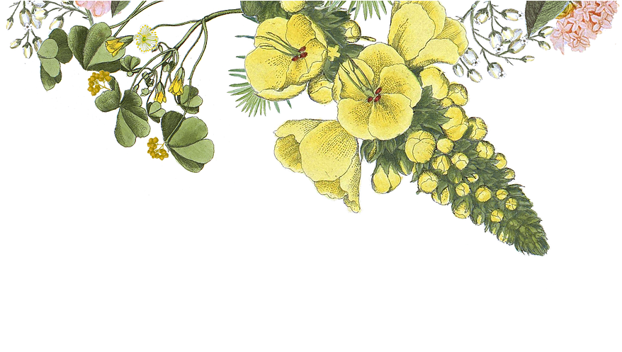 Receiving Flowers Has Been Proven To Increase Happiness, - Wig (1083x568), Png Download