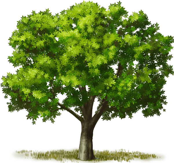 Big Green Giantstable Living Mahogany Pasturestable - Swamp Maple (600x570), Png Download