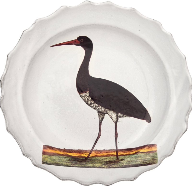 Stork (800x800), Png Download