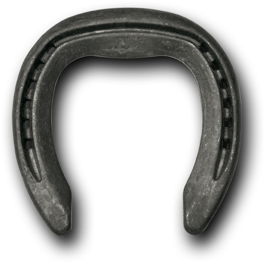 Steel Natural Balance Front - Snake (542x572), Png Download