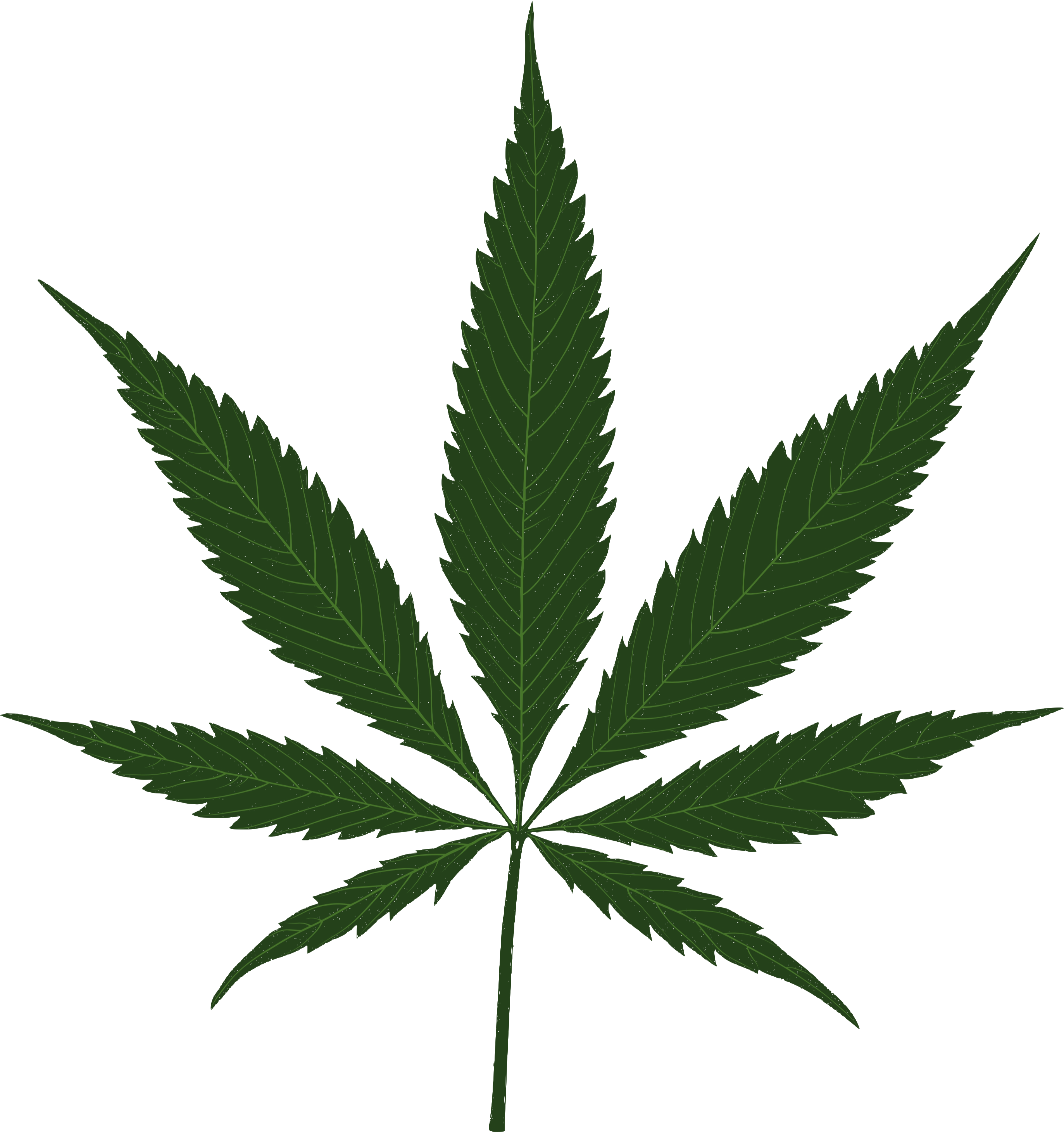 Sunshine Cannabis Leaf - Cannabis Leaf (3000x3000), Png Download