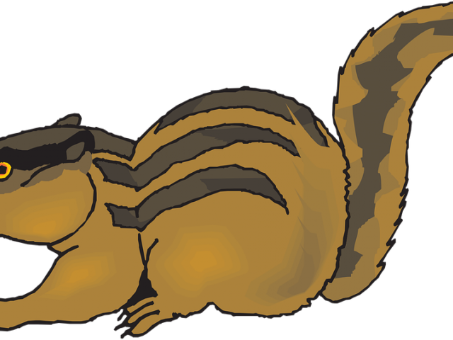 Chipmunk Png - Clip Art (640x480), Png Download