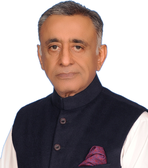 Mir Ghulam Ali Talpur Member Pppp Hd Png Picture Transparent - Gentleman (510x660), Png Download