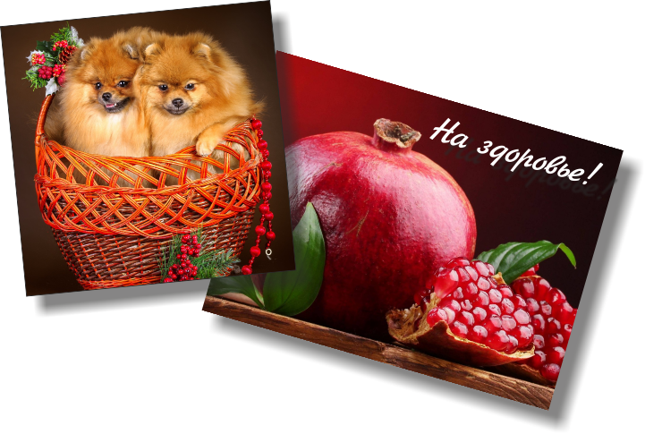 Магниты - Pomeranian (721x485), Png Download