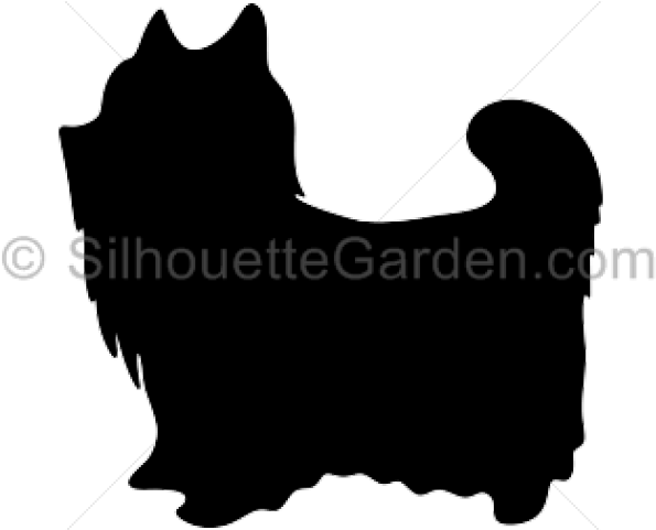 Yorkies Clipart Pomeranian Puppy - Life Quotes (640x480), Png Download