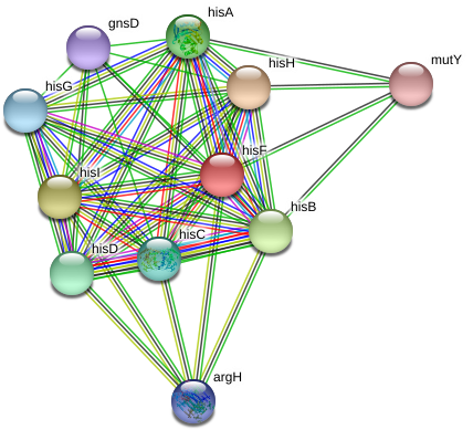 Circle (975x425), Png Download