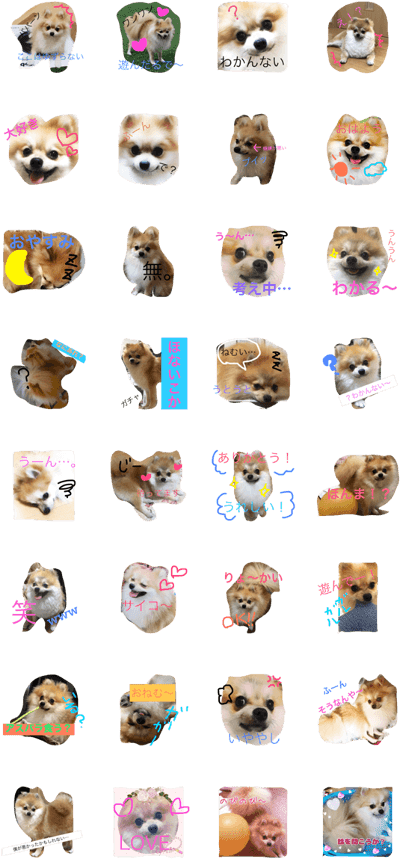 Pomeranian Syaron (420x897), Png Download